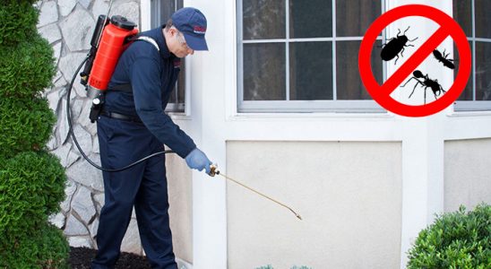 Erciş Karınca İlaçlama böcek ilaçlama ve haşere kontrolü — ilaclama-tr.com